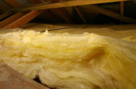 Cattal pitch roof insulation
